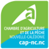 public://2025-09/cap.jpg
